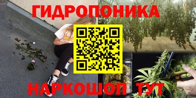 тгк Кандалакша