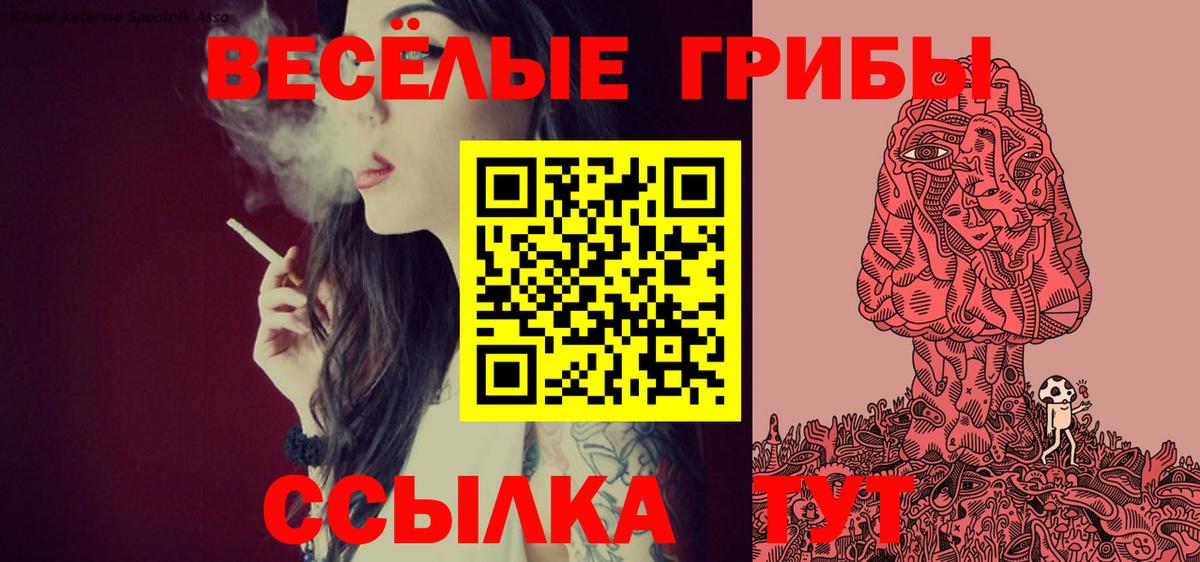 Псилоцибиновые грибы Psilocybe Верхняя Пышма